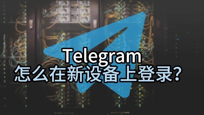 纸飞机电脑版如何登录